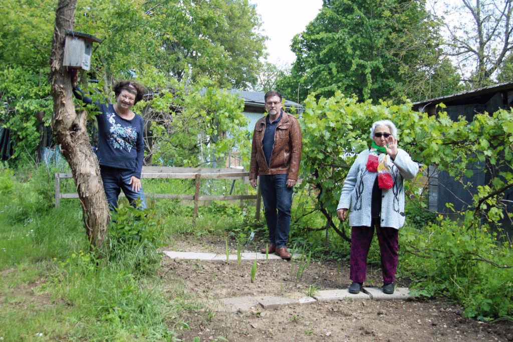 Interkultureller Garten in Friedberg in Coronazeiten